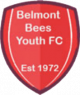 Belmont Bees